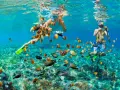 Två personer snorklar i Thailand, omgivna av en stim av färgglada fiskar över ett korallrev.