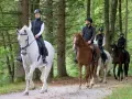 En grupp ryttare njuter av en skogspromenad, en perfekt upplevelse för ridresor i Sverige.