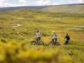 Tre personer cyklar på en stig genom ett grönskande landskap med mjuka berg i bakgrunden. En härlig dag att utforska Sveriges berg!