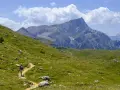 Vandrare på en stig i Dolomiterna, omgiven av gröna sluttningar och majestätiska berg under en molnig himmel.