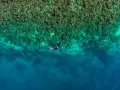 En person snorklar i turkost vatten nära en korallrev. En dröm för alla som älskar att snorkla i Europa.
