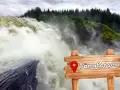 Vattenfall i Sverige, Tännforsen, med en mäktig forsande vattenmassa och en skogsklädd sluttning.