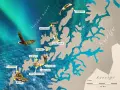 Karta över Lofoten med platser som Reine och Svolvær. En örn flyger över havet under norrskenet, som en del av resan med tåg till Lofoten.