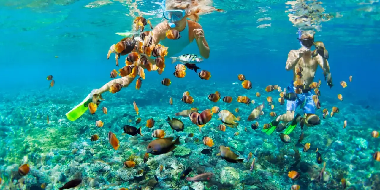 Två personer snorklar i Thailand, omgivna av en stim av färgglada fiskar över ett korallrev.