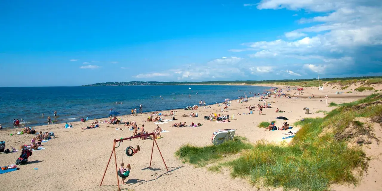 En solig strand i Halland med många badgäster, sanddyner och en gungställning.