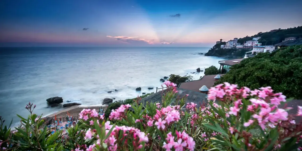 Vacker vy över havet och en kuststad med rosa blommor i förgrunden. En idyllisk bild av badorter i Toscana.