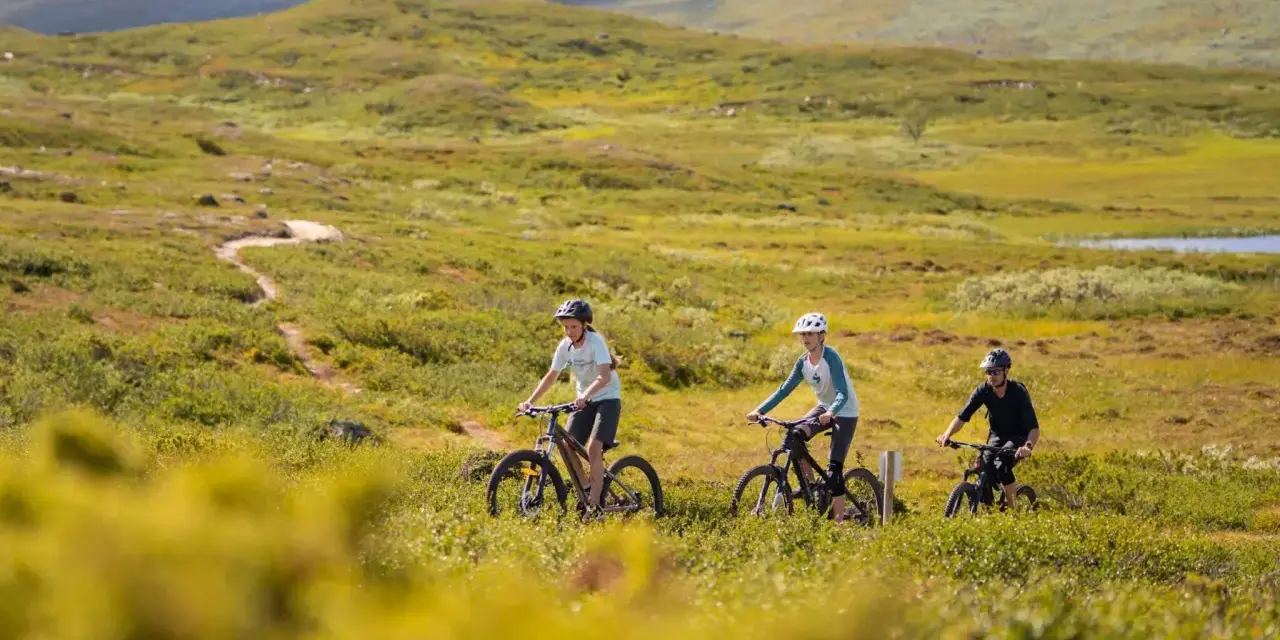 Tre personer cyklar på en stig genom ett grönskande landskap med mjuka berg i bakgrunden. En härlig dag att utforska Sveriges berg!