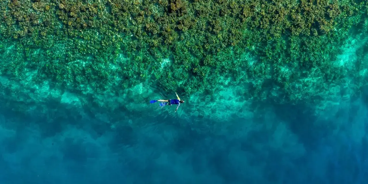 En person snorklar i turkost vatten nära en korallrev. En dröm för alla som älskar att snorkla i Europa.