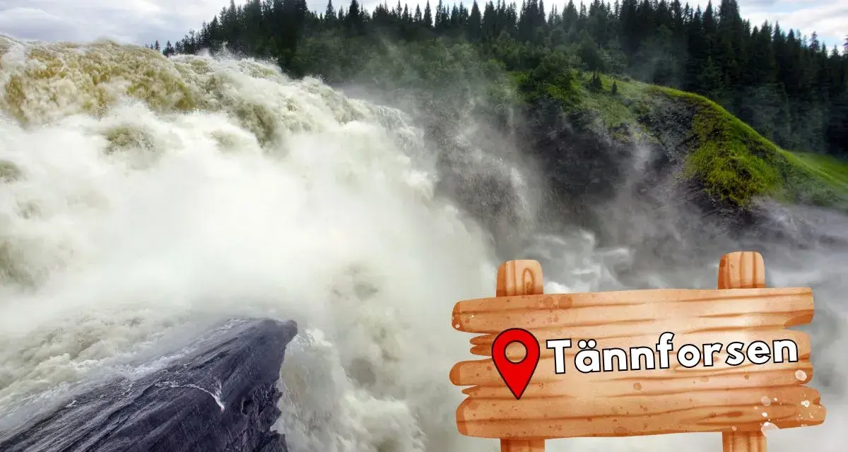 Vattenfall i Sverige, Tännforsen, med en mäktig forsande vattenmassa och en skogsklädd sluttning.