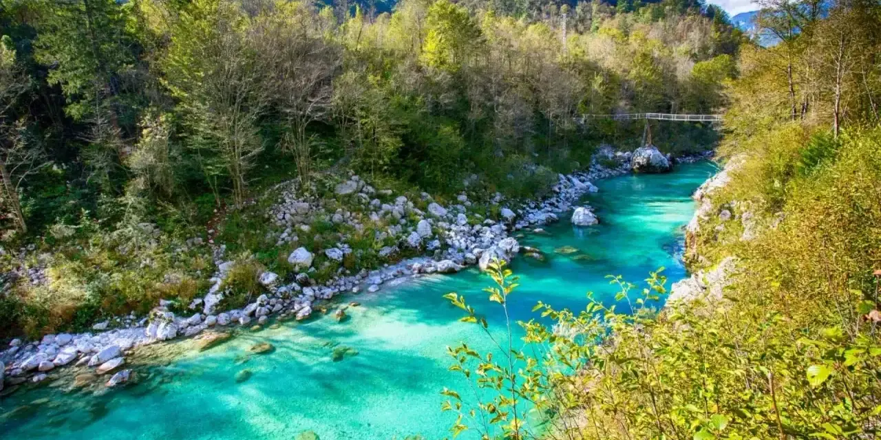 Turquoise flod genom bergig skog i Slovenien. En bro syns i fjärran.