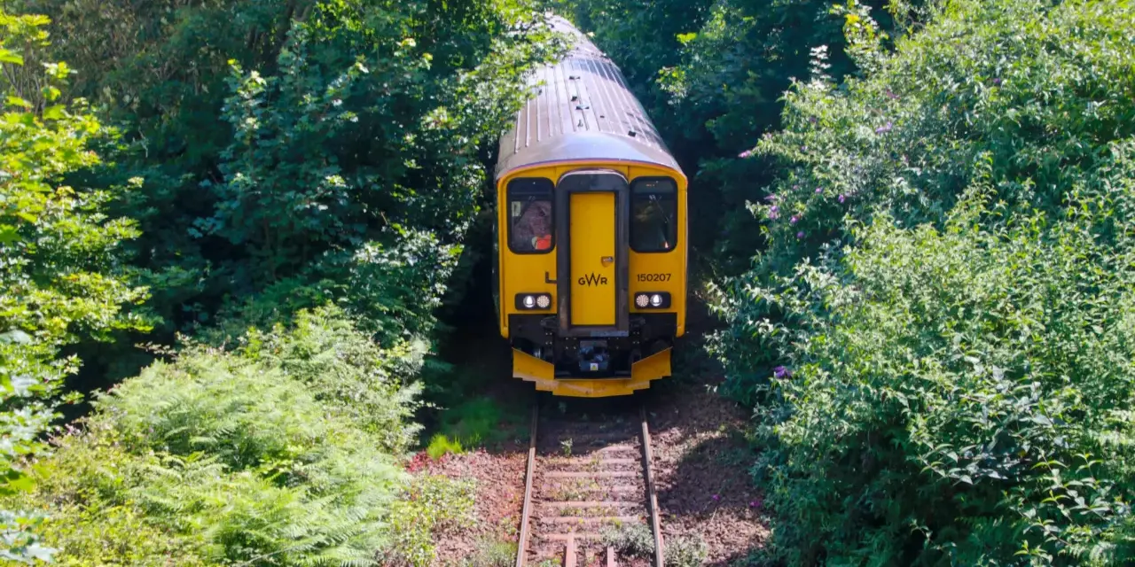 Gult tåg på spår genom grönskande skog, perfekt för att tågluffa i England.