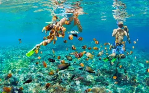 Två personer snorklar i Thailand, omgivna av en stim av färgglada fiskar över ett korallrev.