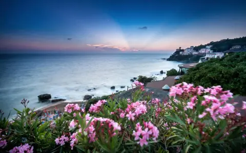 Vacker vy över havet och en kuststad med rosa blommor i förgrunden. En idyllisk bild av badorter i Toscana.