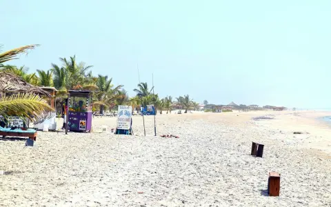 En strand i Gambia med palmer, solstolar och juicebar. Perfekt för gambia turism.
