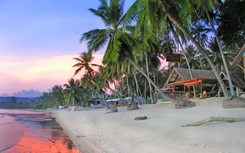 En vacker strand på Koh Samui, Thailand, med vajande palmer, en strandbar och ett hav som speglar den rosa solnedgången.