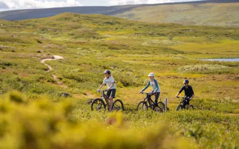 Tre personer cyklar på en stig genom ett grönskande landskap med mjuka berg i bakgrunden. En härlig dag att utforska Sveriges berg!