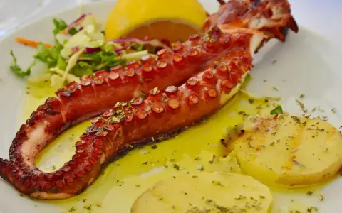 Grillad bläckfisk med potatis, citron och sallad. En smak av kroatisk mat som förför dina sinnen.