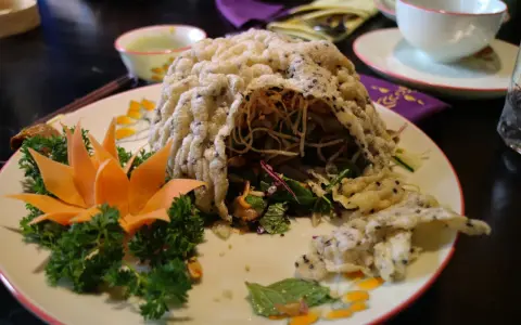 En vacker vietnamesisk maträtt med krispig rispapperstäckt sallad, dekorerad med morotsblomma och örter.