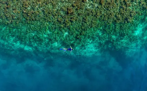 En person snorklar i turkost vatten nära en korallrev. En dröm för alla som älskar att snorkla i Europa.