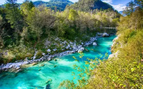 Turquoise flod genom bergig skog i Slovenien. En bro syns i fjärran.