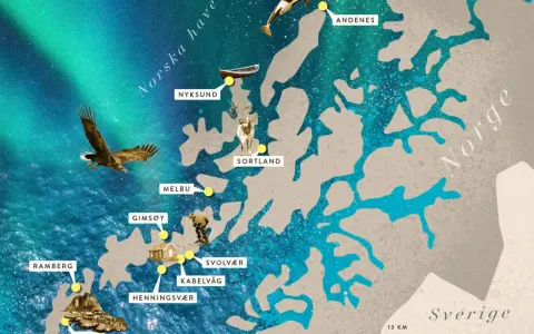 Karta över Lofoten med platser som Reine och Svolvær. En örn flyger över havet under norrskenet, som en del av resan med tåg till Lofoten.