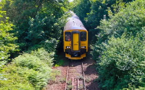 Gult tåg på spår genom grönskande skog, perfekt för att tågluffa i England.