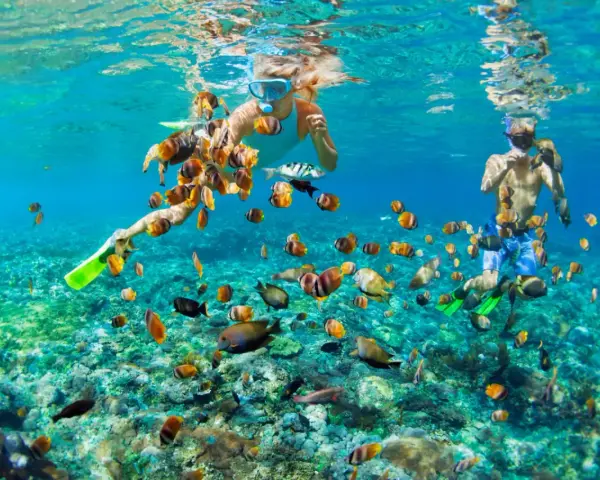 Två personer snorklar i Thailand, omgivna av en stim av färgglada fiskar över ett korallrev.