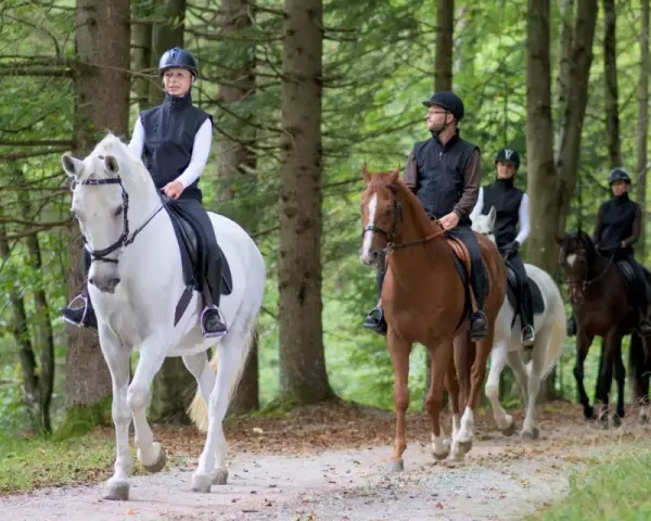 En grupp ryttare njuter av en skogspromenad, en perfekt upplevelse för ridresor i Sverige.
