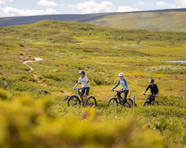 Tre personer cyklar på en stig genom ett grönskande landskap med mjuka berg i bakgrunden. En härlig dag att utforska Sveriges berg!