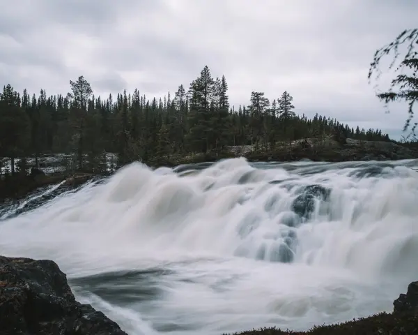 Vattenfall i Skellefteå med forsande vatten och en tät barrskog i bakgrunden under en molnig himmel.