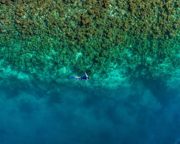 En person snorklar i turkost vatten nära en korallrev. En dröm för alla som älskar att snorkla i Europa.