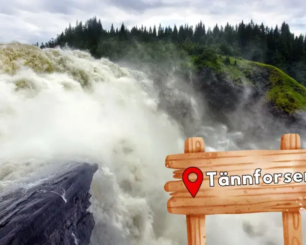 Vattenfall i Sverige, Tännforsen, med en mäktig forsande vattenmassa och en skogsklädd sluttning.