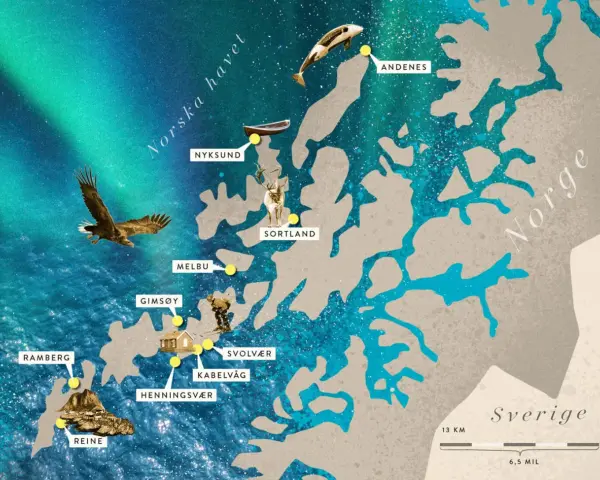 Karta över Lofoten med platser som Reine och Svolvær. En örn flyger över havet under norrskenet, som en del av resan med tåg till Lofoten.