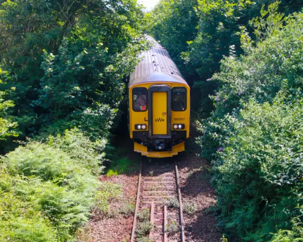 Gult tåg på spår genom grönskande skog, perfekt för att tågluffa i England.