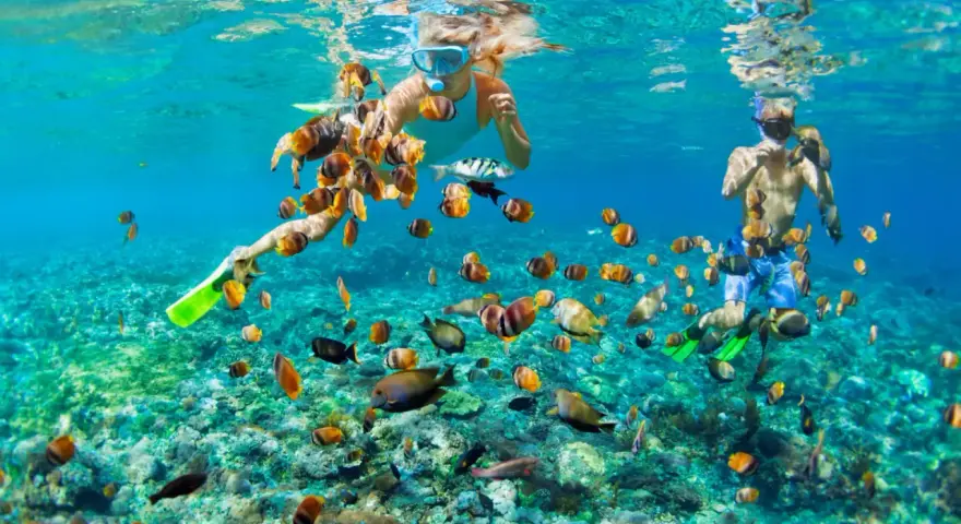 Två personer snorklar i Thailand, omgivna av en stim av färgglada fiskar över ett korallrev.