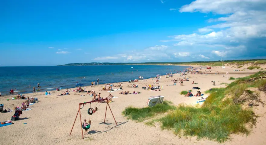 En solig strand i Halland med många badgäster, sanddyner och en gungställning.