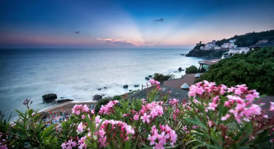 Vacker vy över havet och en kuststad med rosa blommor i förgrunden. En idyllisk bild av badorter i Toscana.