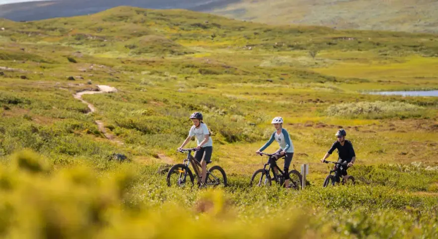 Tre personer cyklar på en stig genom ett grönskande landskap med mjuka berg i bakgrunden. En härlig dag att utforska Sveriges berg!