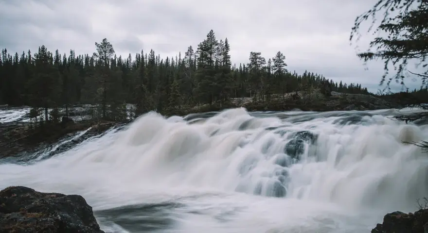 Vattenfall i Skellefteå med forsande vatten och en tät barrskog i bakgrunden under en molnig himmel.