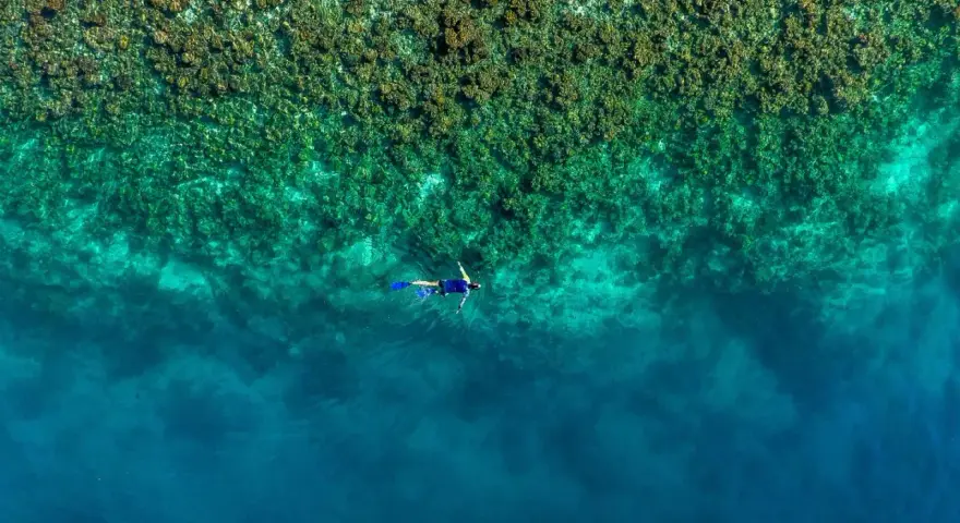 En person snorklar i turkost vatten nära en korallrev. En dröm för alla som älskar att snorkla i Europa.