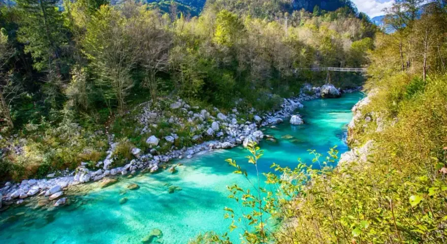 Turquoise flod genom bergig skog i Slovenien. En bro syns i fjärran.