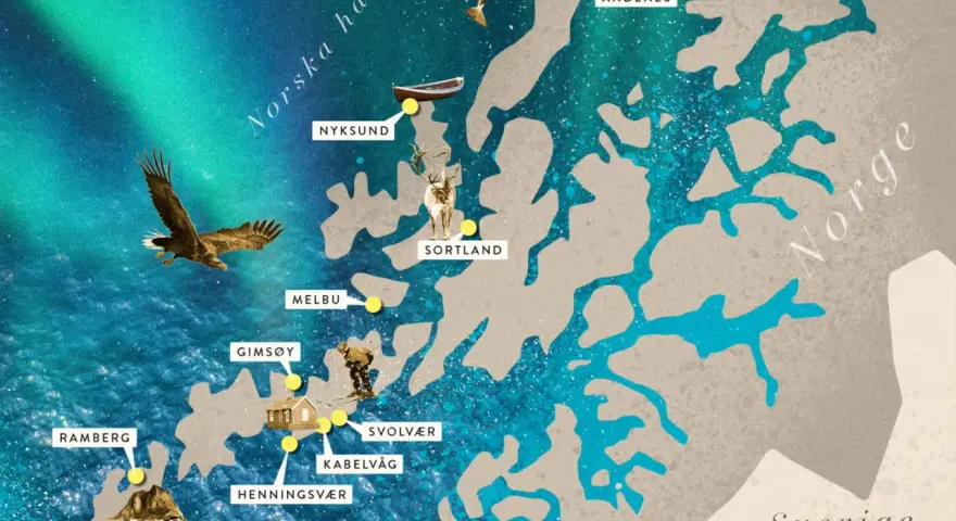 Karta över Lofoten med platser som Reine och Svolvær. En örn flyger över havet under norrskenet, som en del av resan med tåg till Lofoten.