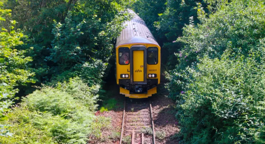 Gult tåg på spår genom grönskande skog, perfekt för att tågluffa i England.