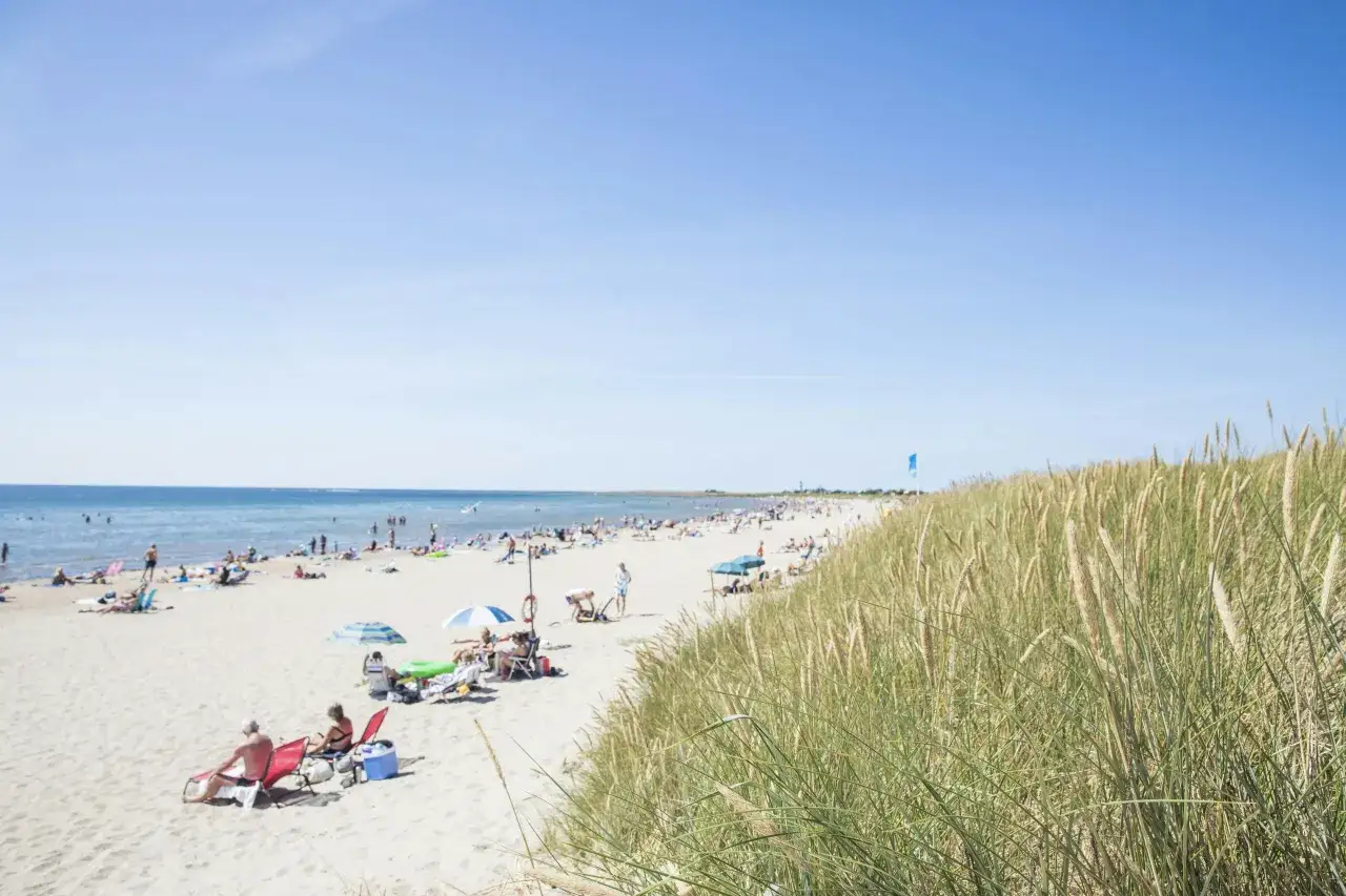 En solig dag p&aring; en livlig strand i Halland. M&auml;nniskor solar, badar och njuter av sommaren vid havet.