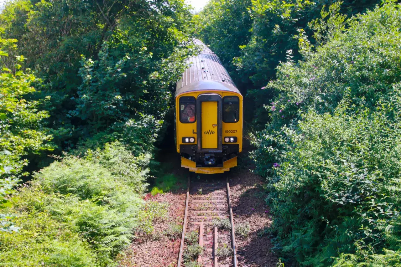 Ett gult t&aring;g n&auml;rmar sig genom en gr&ouml;nskande skog. Perfekt f&ouml;r att t&aring;gluffa i England och uppleva naturen.