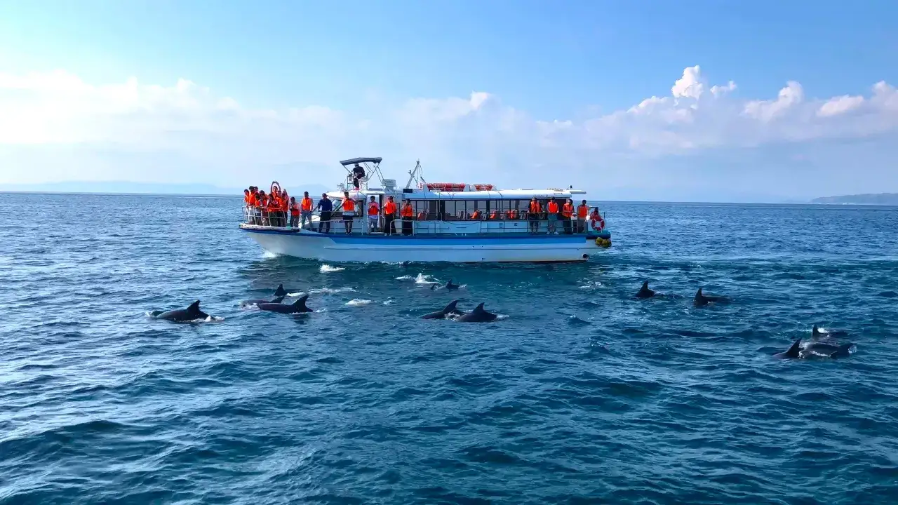 En b&aring;t med passagerare i flytv&auml;star n&auml;rmar sig en flock delfiner som simmar i det bl&aring; havet. En dr&ouml;m om att simma med delfiner blir verklighet.
