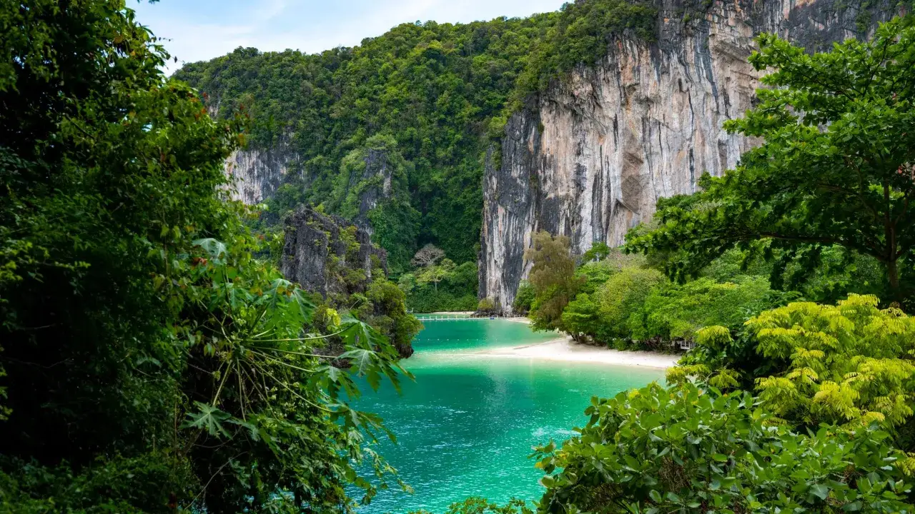 Gr&ouml;nskande djungel ramar in en turkos lagun med vit sandstrand och h&ouml;ga klippor. En idyllisk vy, &auml;ven under regnperioden i Thailand.