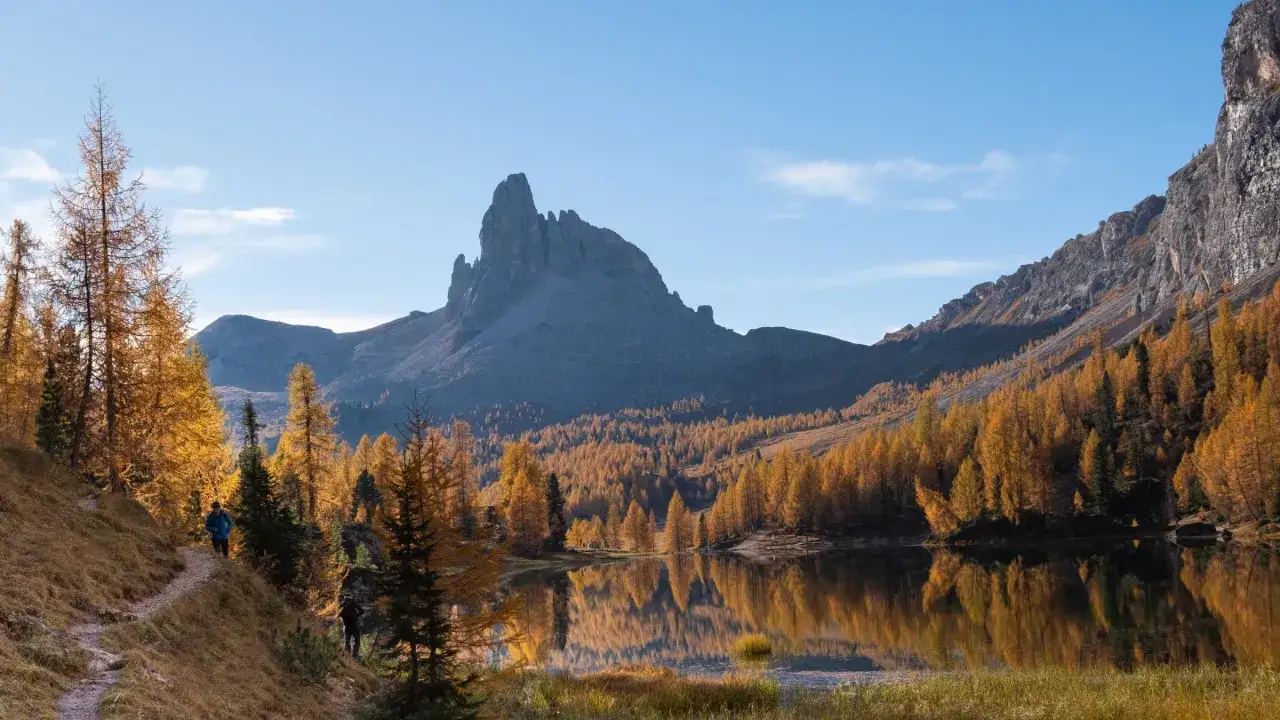 Vacker höst i Dolomiterna med gyllene träd som speglar sig i en lugn sjö. En vandringsled leder genom skogen mot dramatiska bergstoppar.