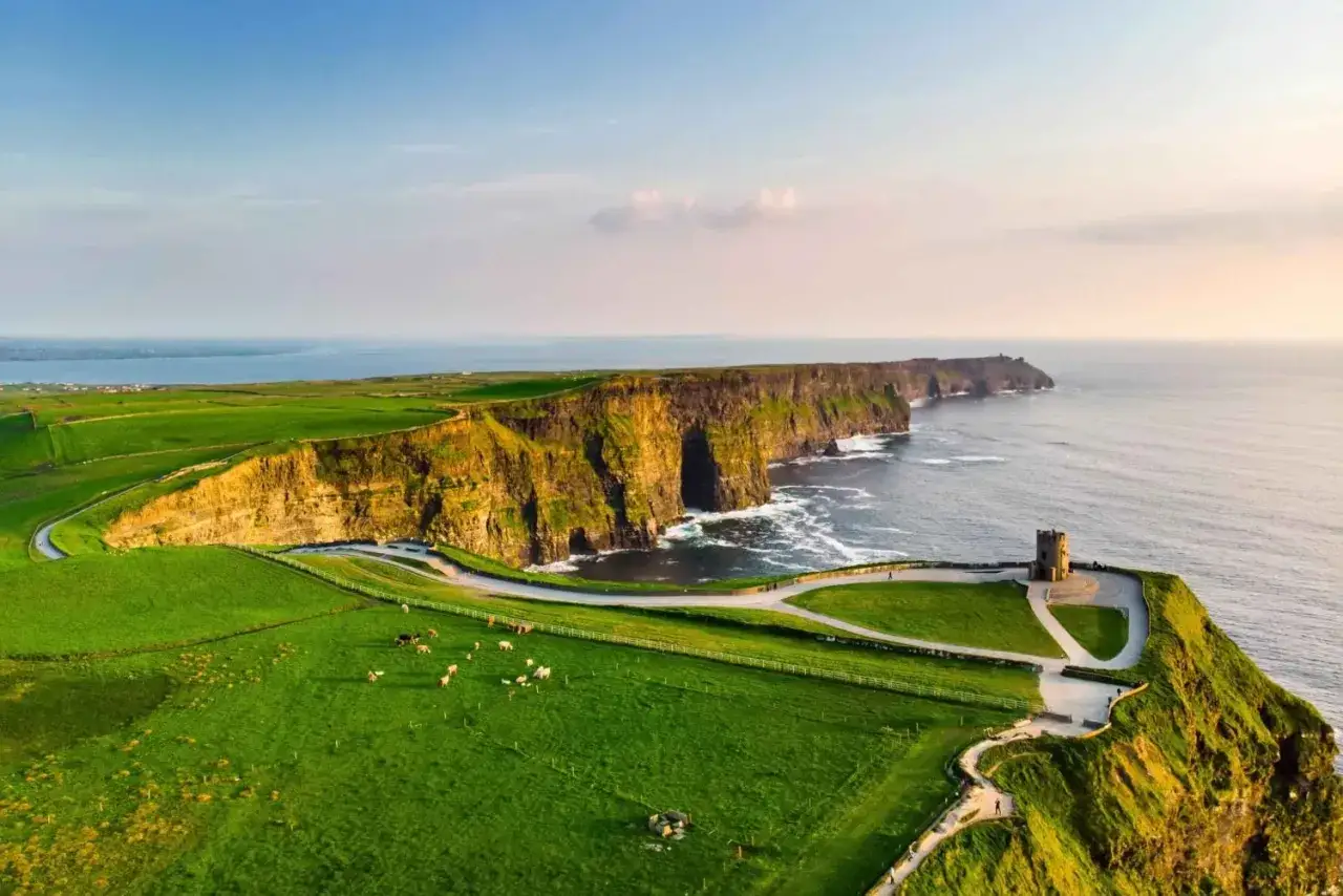 Imponerande klippor vid havet, gr&ouml;na f&auml;lt med kor och en borg. En dr&ouml;m f&ouml;r en rundresa Irland p&aring; egen hand.