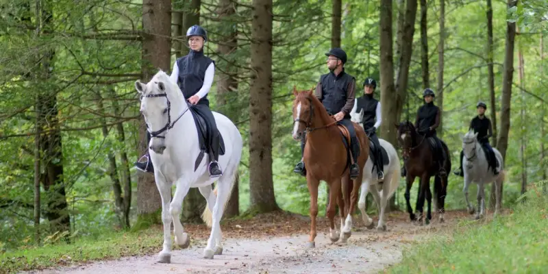 En grupp ryttare njuter av en skogspromenad, en perfekt upplevelse för ridresor i Sverige.